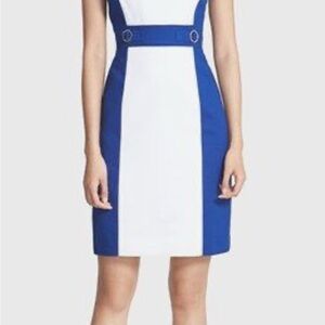 Elegant Blue and White Dress